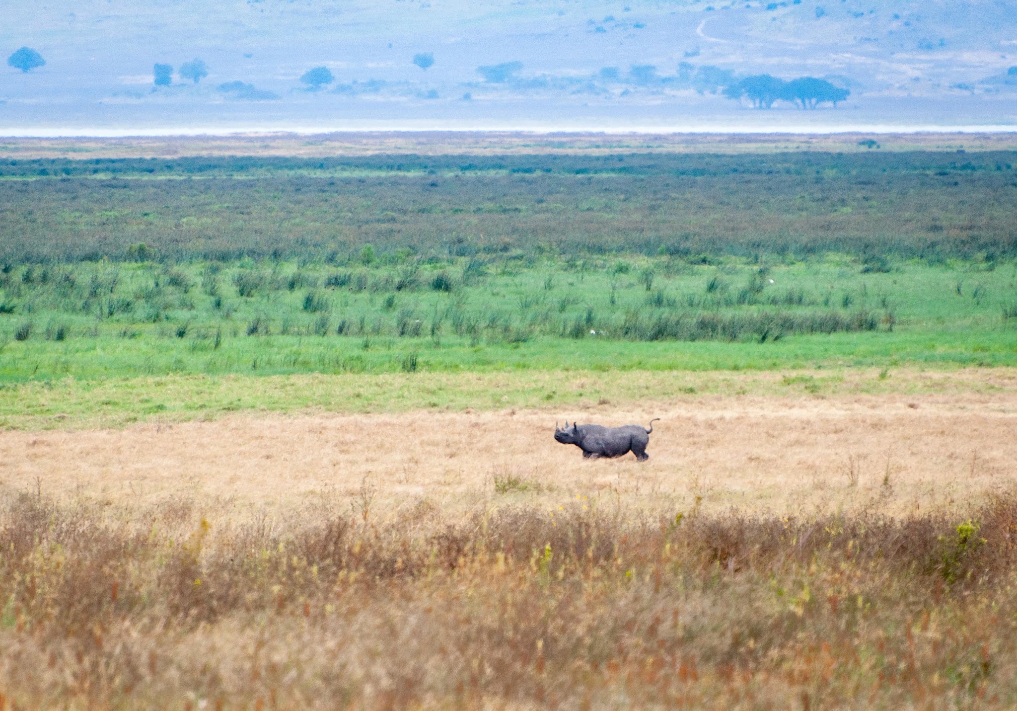 An Addendum to “Our African Big Five”